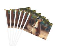 Funny Cartoon Kangaroo Zoo (2) Stampa Palmare Bandiera leggera Festival Bandiere Indoor Outdoor Decor Parade Party Eventi