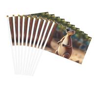 Funny Cartoon Kangaroo Zoo (2) Stampa Palmare Bandiera leggera Festival Bandiere Indoor Outdoor Decor Parade Party Eventi