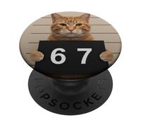 Funny Cat Mugshot Meme 67 Six Seven PopSockets PopGrip Adesivo