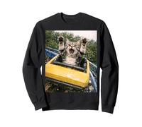 Funny Cat Roller Coaster Silly Meme American Shorthair Felpa