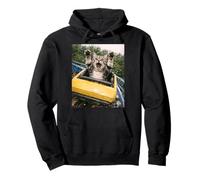 Funny Cat Roller Coaster Silly Meme American Shorthair Felpa con Cappuccio