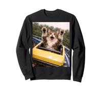 Funny Cat Roller Coaster Silly Meme Domestic Longhair Felpa