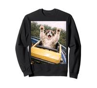 Funny Cat Roller Coaster Silly Meme Graphic Ragdoll Cat Felpa