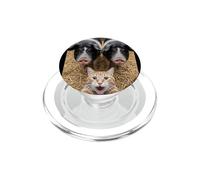 Funny Cat Selfie with Pigs Design - Cute Animal Pig Lovers PopSockets PopGrip per MagSafe