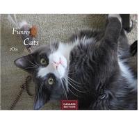 Funny Cats Kalender 2026 - Wandkalender | Fotokalender Tier 24x35cm - Witziger Katzenkalender