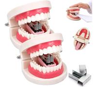 Funny Denture Stapler with Staples,Novelty Teeth Desktop Office Stapler | Novelty Teeth Design,Durable Plastic & Rustproof Metal,Novelty Gift For Dentist Dental Clinic,Notes,Receipts,Study