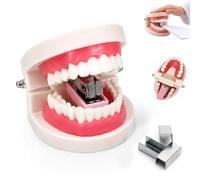 Funny Denture Stapler with Staples,Novelty Teeth Desktop Office Stapler | Novelty Teeth Design,Durable Plastic & Rustproof Metal,Novelty Gift For Dentist Dental Clinic,Notes,Receipts,Study