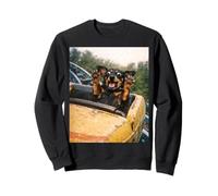 Funny Dog Roller Coaster Meme Silly Graphic Dachshund Felpa