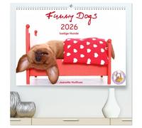 Funny Dogs (hochwertiger Premium Wandkalender 2026 DIN A2 quer), Kunstdruck in Hochglanz: lustige Hunde