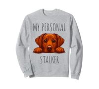 Funny Fox Red Labrador Dog Owner Felpa