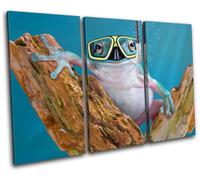 Funny Frog Animals TREBLE TELA parete arte foto stampa