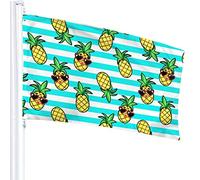 Funny Frog Doing Yoga Flag 3x5 Ft Outdoor Double Sided 100% Polyester Duty Durable Flags With Preset Hole For Home Office Garden Holiday Decorations