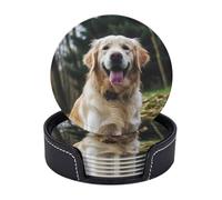 Funny Golden Retriever Set di 6 sottobicchieri con supporto in pelle sottobicchieri protezione da tavolo per bar decorazione tazza pad per tavolino da caffè cucina sala da pranzo