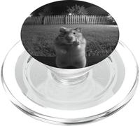 Funny Hamster Flipping Off Middle Finger On Security Camera PopSockets PopGrip per MagSafe