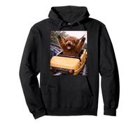 Funny Highland Cow Roller Coaster Meme Silly Graphic Felpa con Cappuccio
