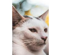 Funny Notebook: Your Mind on Paper. Probably Brilliant Stuff Inside