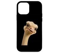 Funny Ostrich Face Meme For Zookeeper Animal Safari Custodia per iPhone 12 mini
