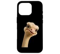 Funny Ostrich Face Meme For Zookeeper Animal Safari Custodia per iPhone 16 Pro