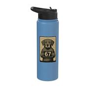 Funny Six Seven Meme 67 Cane Segnaletica Virale Tendenza Internet Stainless Steel Insulated Water Bottle