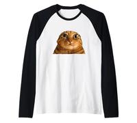 Funny Weird Cat Face Meme Silly Hilarious Cat Confused Maglia con Maniche Raglan