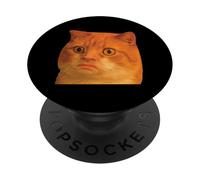 Funny Weird Cat Face Meme Silly Hilarious Cat Confused PopSockets PopGrip Adesivo
