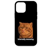 Funny Weird Cat Face Meme Silly Hilarious Mad Cat Confused Custodia per iPhone 12 mini