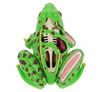 FUNOMOCYA Kit di Dissezione della 4d Educativo Anatomico per Studenti, Scientifico Smontabile per Lezioni di Biologia e Attività Stem in Aula e Homeschooling