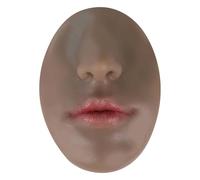 Funxzior Modello di Naso e Labbra in Silicone per Pratica Piercing Pannello Doppio con Labbra Spesse/Sottili Precolorate Strumento di Formazione Make-up Tatuaggio (Labbro Sottile, Nero Chiaro)