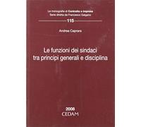 Funzioni sindaci principi generali