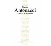 Fuochi di meteore