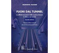 Fuori dal tunnel. Le difficili transizioni dalla scuola al lavoro in Italia e nel mondo