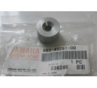 Fuoribordo Yamaha 50HP 06-19 55HP 03-16 Anodo marmitta scarico Bracket anode