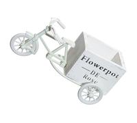 FUOYLOO Porta Fiori Bicicletta Secchiello da Tavolo 9.06X3.94X2.95 Pollici Supporto per Penne Decorazioni per Casa e Ufficio