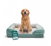 Furhaven Cuccia rinfrescante per cani di taglia grande, con cuscini rimovibili e copertura lavabile, per cani fino a 43 kg, divano in peluche e velluto, perfetto comfort, verde Celadon, Jumbo/XL