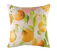 furn. Evans Lichfield - Federa per Cuscino, Motivo: Arance, Multicolore, 43 x 43 cm