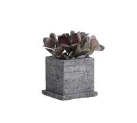 FURUIM2024M Vaso per piante e fiori in cemento, semplice, creativo, quadrato, verde, piccolo, perforato, traspirante, con vassoio, vasi in cemento personalizzati, vaso da giardinaggio (grigio, XL)