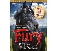 Fury [Edizione: Stati Uniti]