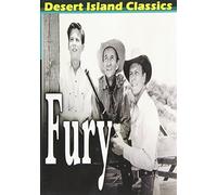 Fury [Edizione: Stati Uniti]