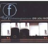 Fury in the Slaughterhouse - Are You Real