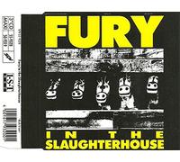 Fury in the Slaughterhouse - Kick It Out