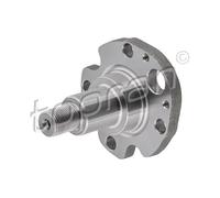 Fusello, Corpo assiale Assale post. bilaterale per AUDI SEAT SKODA VW A3 BORA CA