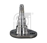 Fusello, Corpo assiale Assale posteriore Dx per SEAT VW AROSA CORDOBA GOL GOLF G