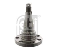 Fusello, Corpo assiale Assale posteriore Sx per AUDI SEAT VW 50 80 90 AROSA CORD