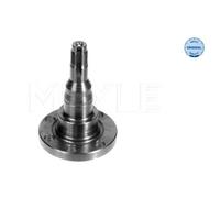 Fusello Corpo Assiale Meyle 1005011010 Meyle-original: True To Oe. per Audi Seat