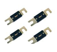 Fusibile 10 pezzi 150A 160A 175A 200A 250A 275A 300A 350A 400A 450A 500A 600A AML Fusibile a collegamento fusibile Fusibile for auto Fusibile a lama(160A)