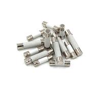 Fusibile 10 pezzi in ceramica 5mm x 20mm 5X20 6x30 T1A 2A 3A 3.15A 4A 5A 6A 6. 8A 10A 20A 30A 250V Forno a microonde for auto(6 Years,6MM X 30MM)