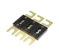 Fusibile A Bullone ANL 30A 40A 50A 60A 70A Fusibile A Collegamento Fusibile 80A 100A 125A 130A 150A Fusibile A Lama For Auto 175A 180A 200A 250A 400A/32V(175A)