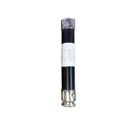 fusibile FLSR-1-2-3-4-5-6-7-8-9-10-12-15-20-25-30A 600V | Componente elettrico di protezione da sovracorrente(FLSR-1A)