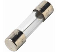 FUSIBILE IN VETRO 8A 5X20mm 250V 8A RITARDATO TIME-LAG ( x 100 PEZZI)