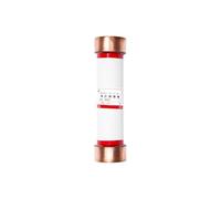 Fusibile limitatore di corrente ad alta tensione for interni RN2-10KV/0,5A 1A 2A PT 55 * 210mm(10/2A)